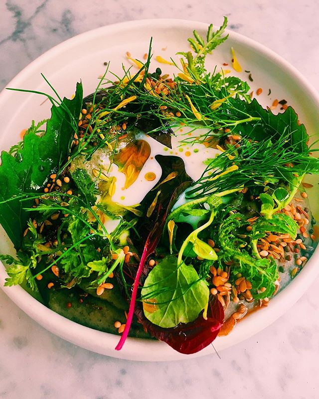 There’s black bean dip somewhere under there... @sundayinbrooklyn work of art 🌱😱