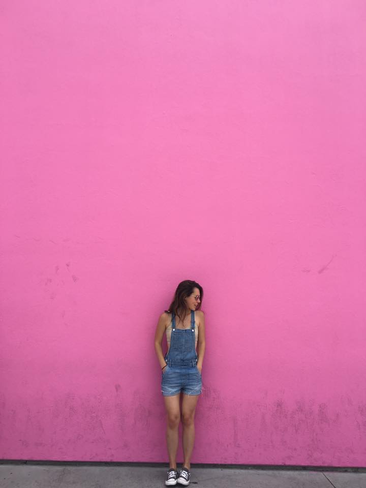 A Day in LA...and Other Adventures with a Pink Wall