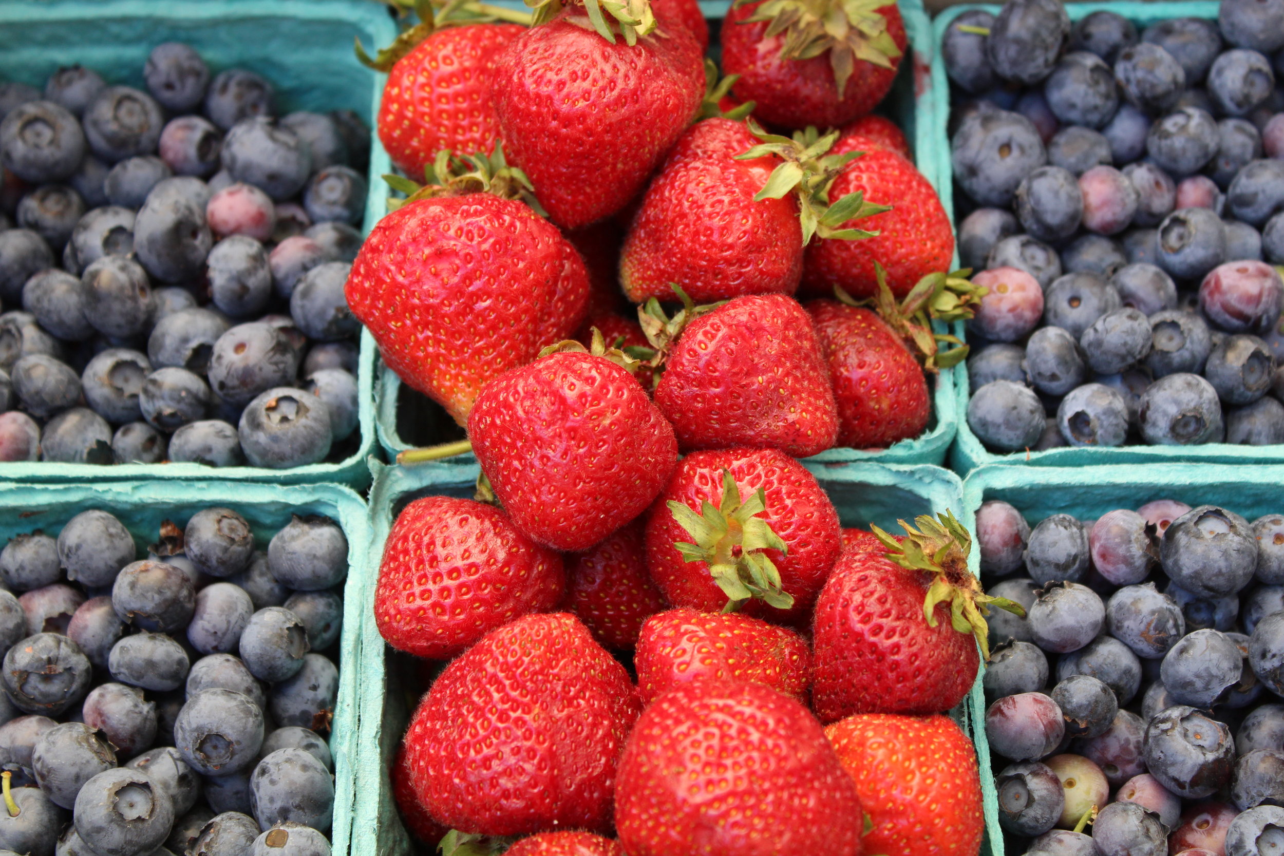 Introducing...Eat Collective: Food for Thought with Humans on the Street 